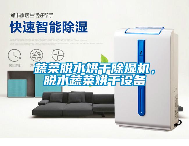蔬菜脫水烘干除濕機，脫水蔬菜烘干設備