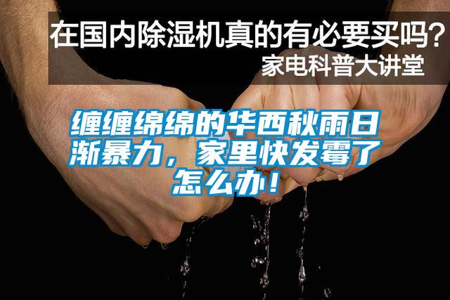 纏纏綿綿的華西秋雨日漸暴力，家里快發霉了怎么辦！
