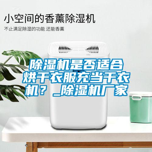 除濕機是否適合烘干衣服充當干衣機?_除濕機廠家