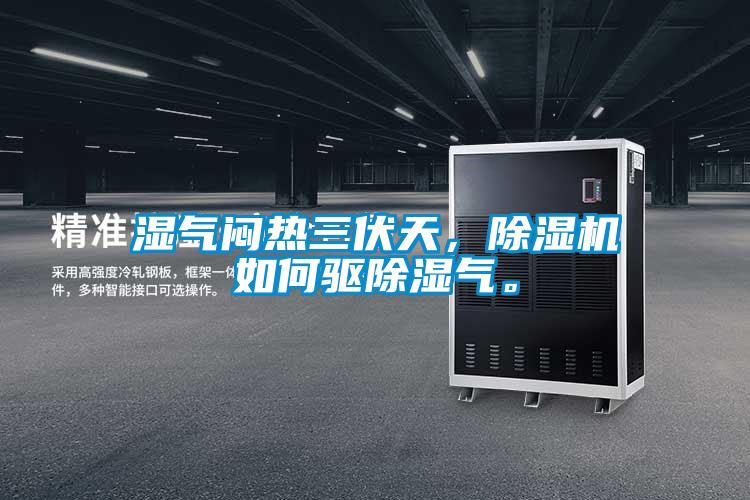 濕氣悶熱三伏天，除濕機如何驅(qū)除濕氣。