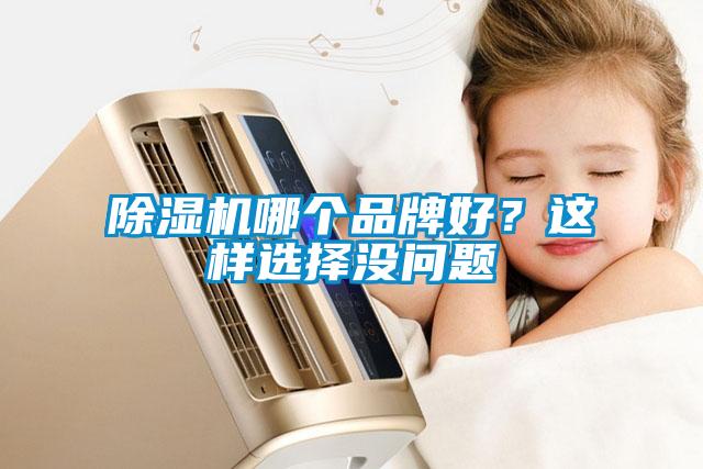 除濕機(jī)哪個(gè)品牌好?這樣選擇沒(méi)問(wèn)題