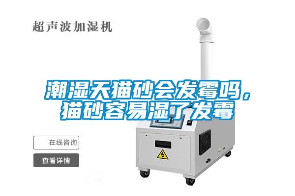 潮濕天貓砂會(huì)發(fā)霉嗎,貓砂容易濕了發(fā)霉