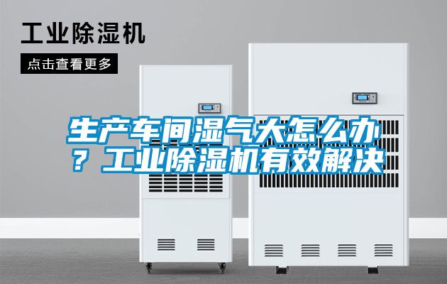 生產車間濕氣大怎么辦？工業除濕機有效解決