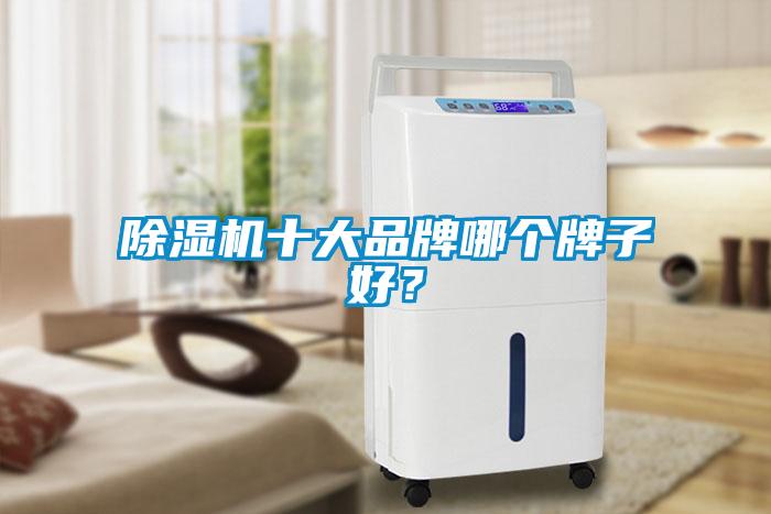 除濕機十大品牌哪個牌子好？