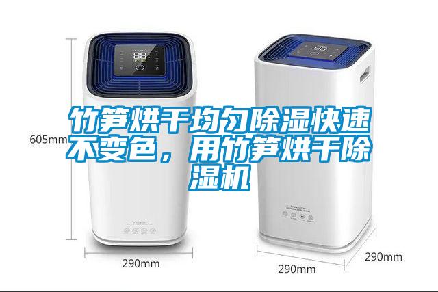 竹筍烘干均勻除濕快速不變色，用竹筍烘干除濕機