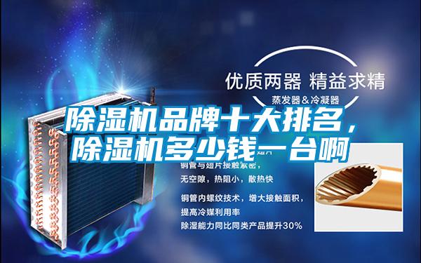 除濕機品牌十大排名，除濕機多少錢一臺啊