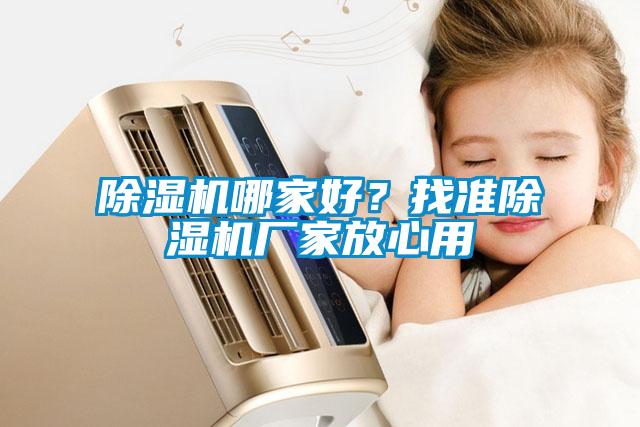 除濕機哪家好？找準除濕機廠家放心用