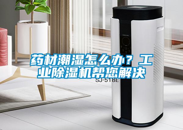 藥材潮濕怎么辦？工業(yè)除濕機(jī)幫您解決