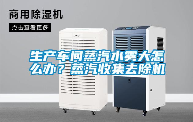 生產車間蒸汽水霧大怎么辦？蒸汽收集去除機