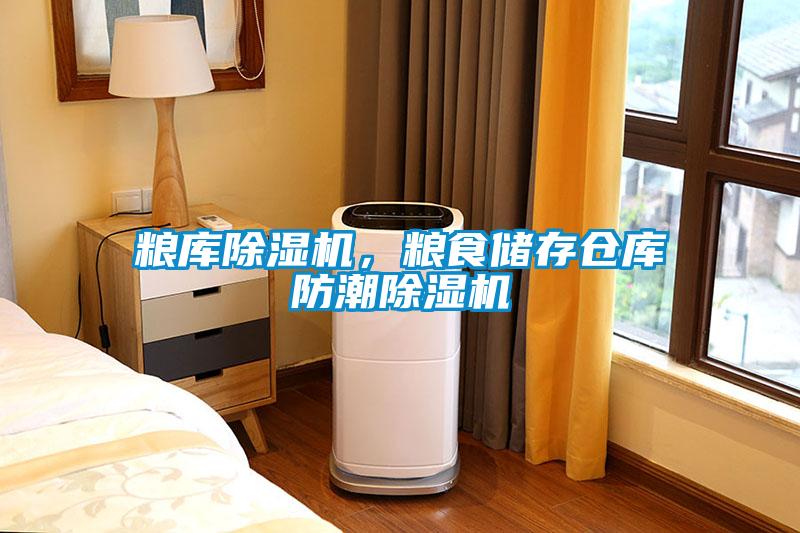 糧庫(kù)除濕機(jī),糧食儲(chǔ)存?zhèn)}庫(kù)防潮除濕機(jī)