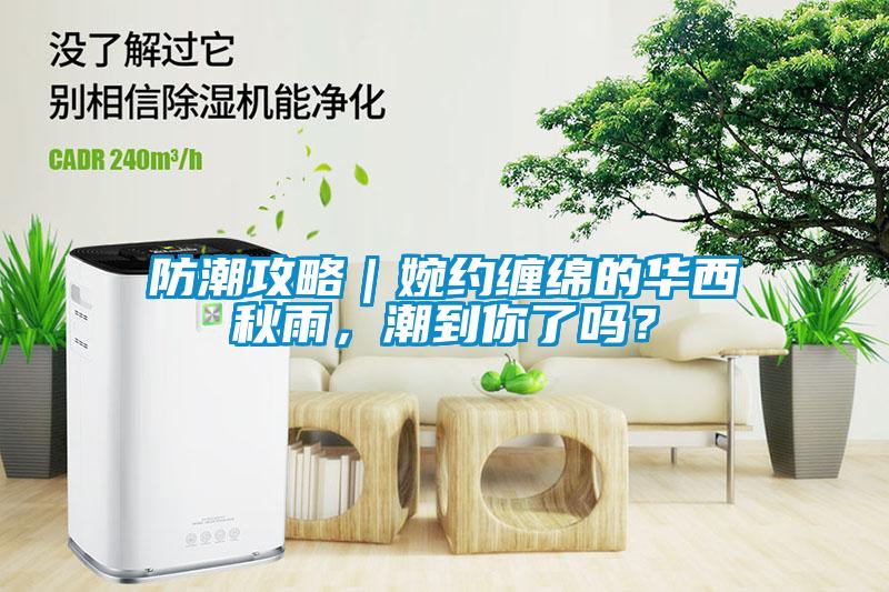 防潮攻略｜婉約纏綿的華西秋雨，潮到你了嗎？