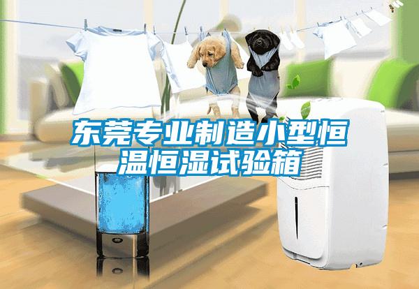 東莞專業制造小型恒溫恒濕試驗箱
