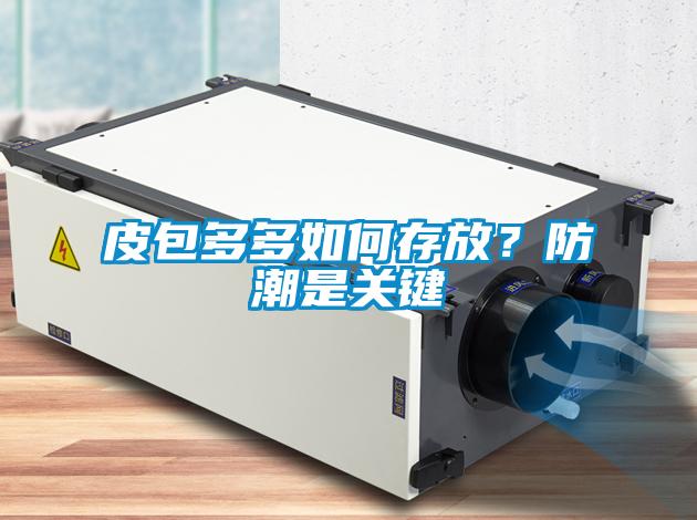 皮包多多如何存放？防潮是關鍵