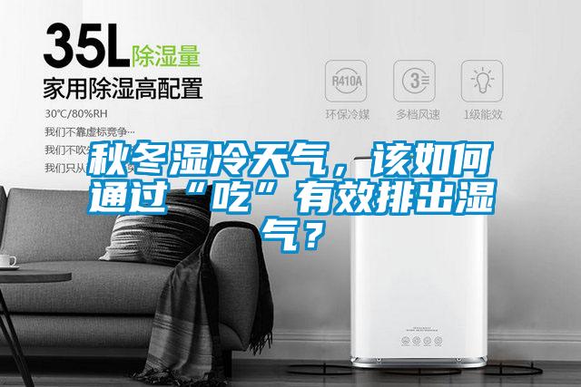 秋冬濕冷天氣，該如何通過“吃”有效排出濕氣？