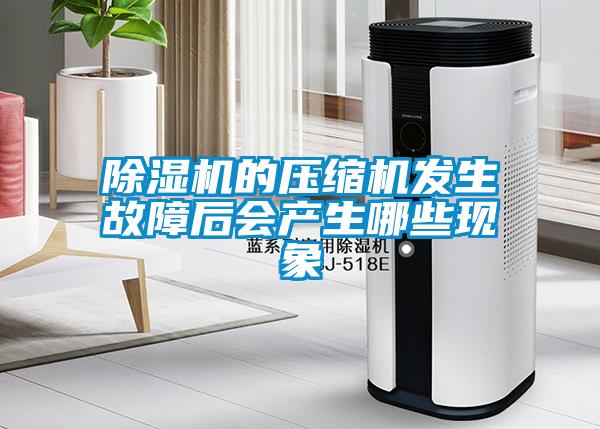 除濕機的壓縮機發(fā)生故障后會產(chǎn)生哪些現(xiàn)象