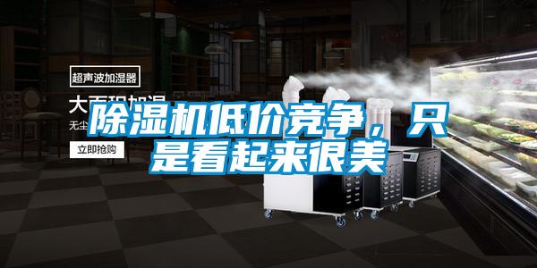 除濕機低價競爭，只是看起來很美