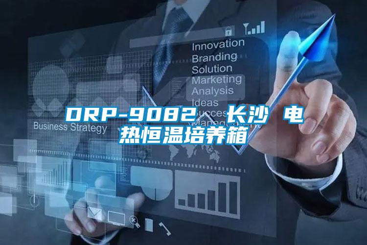 DRP-9082  長(zhǎng)沙 電熱恒溫培養(yǎng)箱