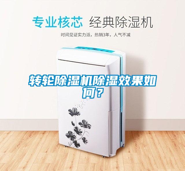 轉輪除濕機除濕效果如何?