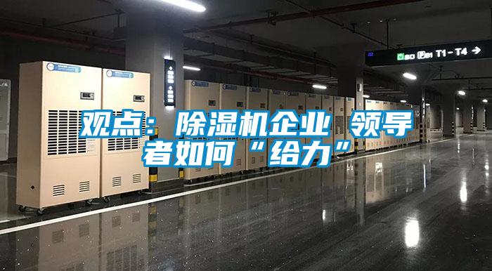 觀點(diǎn):除濕機(jī)企業(yè) 領(lǐng)導(dǎo)者如何“給力”