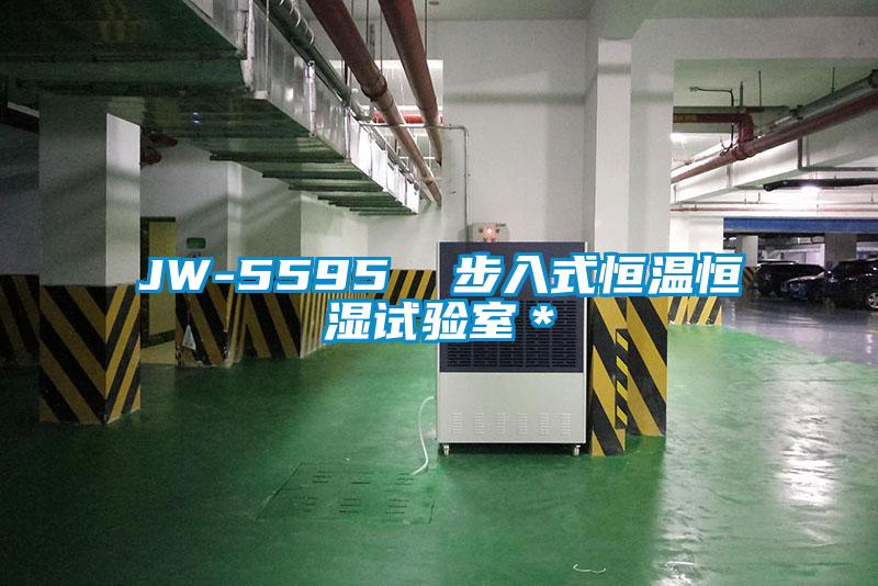 JW-5595 步入式恒溫恒濕試驗室*