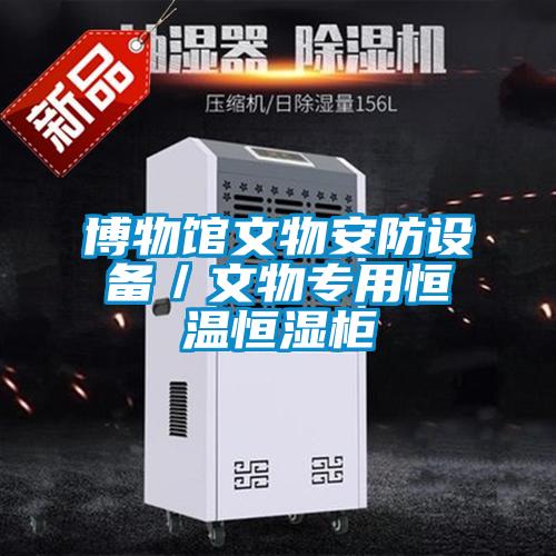 博物館文物安防設備／文物專用恒溫恒濕柜