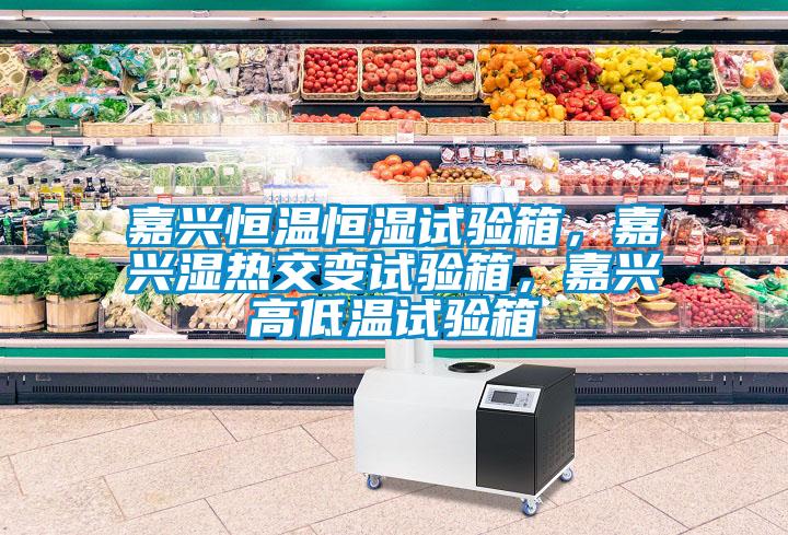 嘉興恒溫恒濕試驗(yàn)箱，嘉興濕熱交變?cè)囼?yàn)箱，嘉興高低溫試驗(yàn)箱