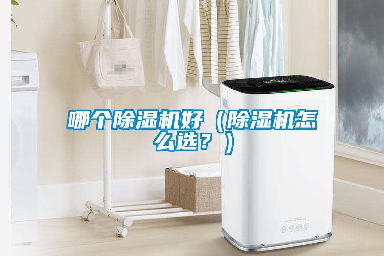 哪個除濕機好(除濕機怎么選?)