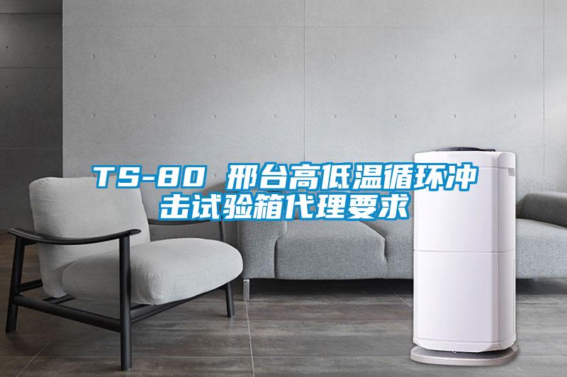TS-80 邢臺高低溫循環沖擊試驗箱代理要求