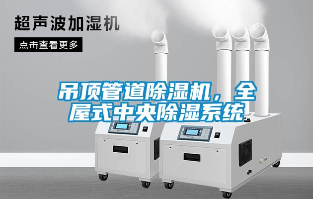 吊頂管道除濕機，全屋式中央除濕系統(tǒng)