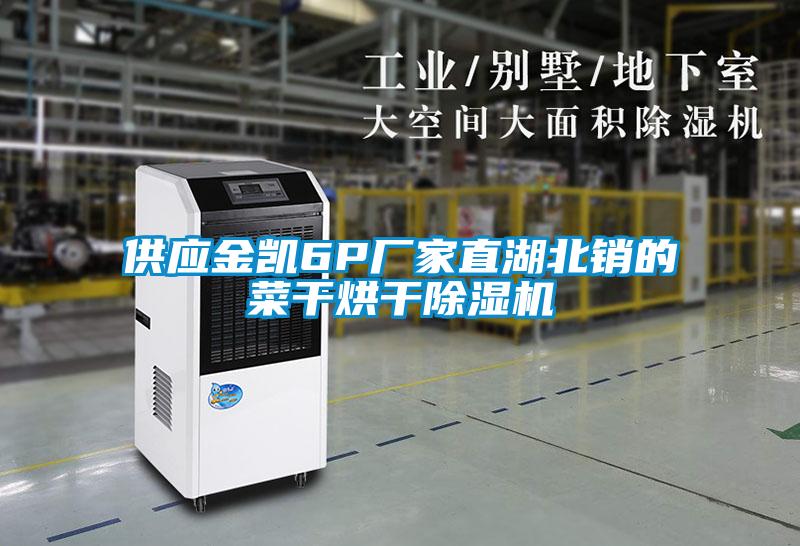 供應(yīng)金凱6P廠家直湖北銷的菜干烘干除濕機