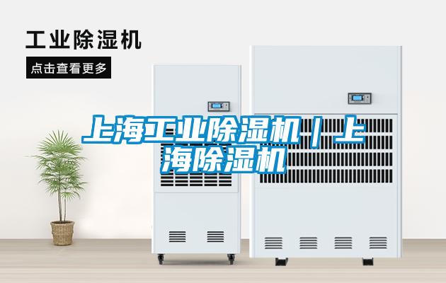 上海工業(yè)除濕機(jī)|上海除濕機(jī)