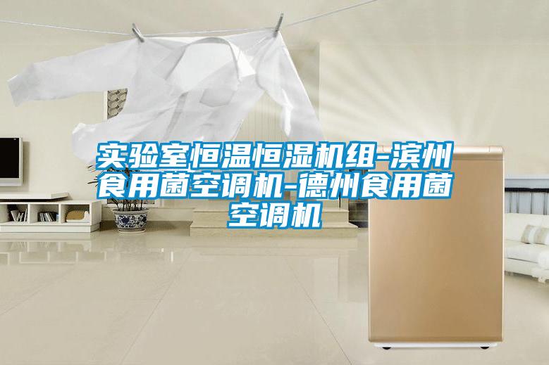 實(shí)驗(yàn)室恒溫恒濕機(jī)組-濱州食用菌空調(diào)機(jī)-德州食用菌空調(diào)機(jī)