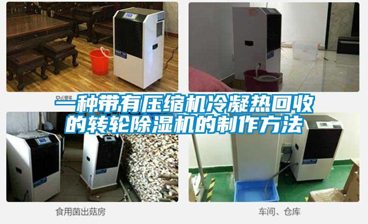 一種帶有壓縮機冷凝熱回收的轉(zhuǎn)輪除濕機的制作方法