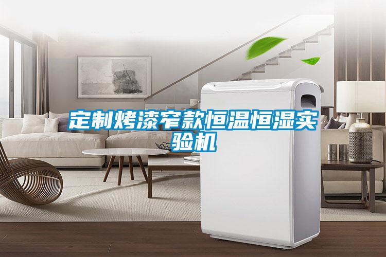 定制烤漆窄款恒溫恒濕實(shí)驗(yàn)機(jī)