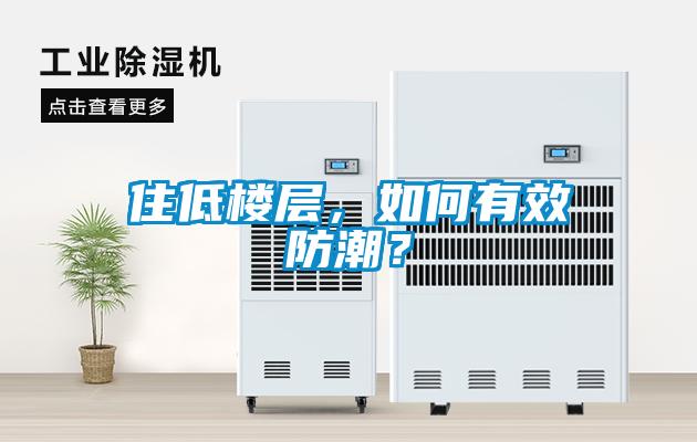 住低樓層，如何有效防潮？