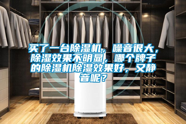 買了一臺除濕機，噪音很大，除濕效果不明顯，哪個牌子的除濕機除濕效果好，又靜音呢？