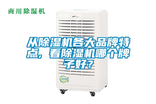 從除濕機(jī)各大品牌特點(diǎn), 看除濕機(jī)哪個(gè)牌子好？