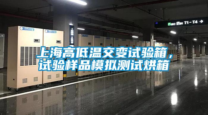 上海高低溫交變試驗箱，試驗樣品模擬測試烘箱