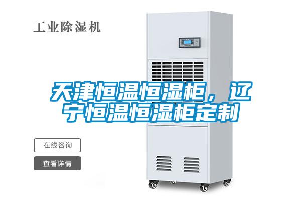 天津恒溫恒濕柜,遼寧恒溫恒濕柜定制