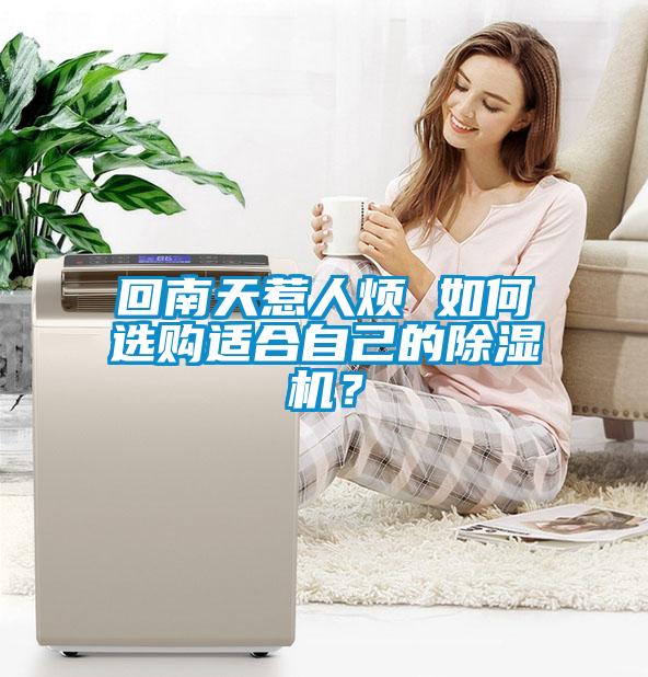 回南天惹人煩 如何選購適合自己的除濕機？