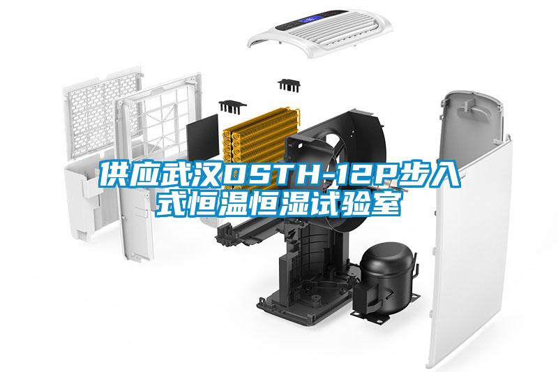 供應武漢DSTH-12P步入式恒溫恒濕試驗室