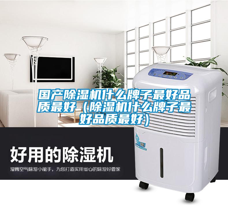 國產除濕機什么牌子最好品質最好(除濕機什么牌子最好品質最好)