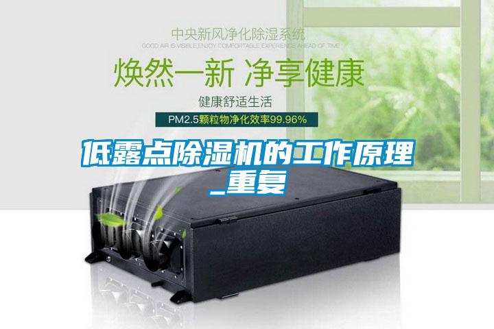 低露點(diǎn)除濕機(jī)的工作原理_重復(fù)