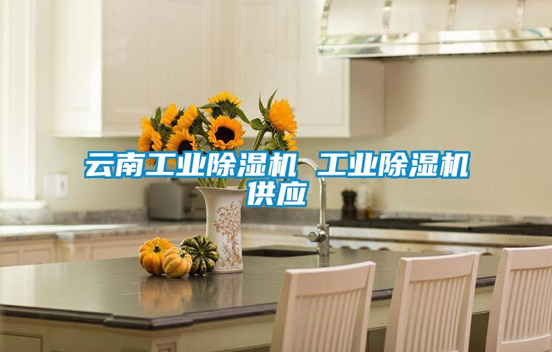 云南工業除濕機 工業除濕機供應