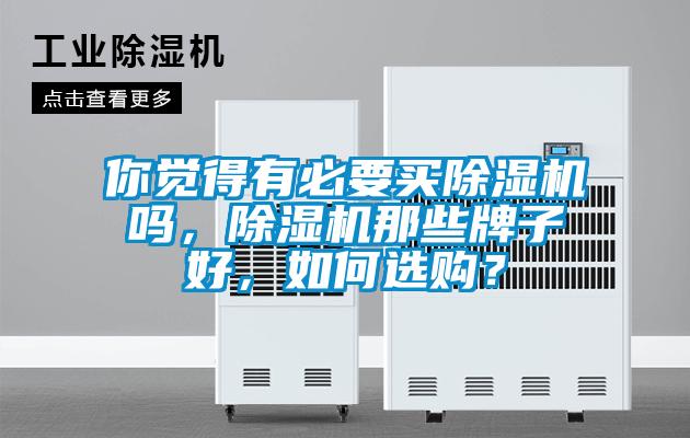 你覺得有必要買除濕機嗎，除濕機那些牌子好，如何選購？