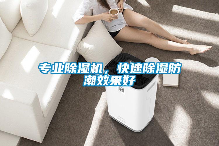 專業除濕機，快速除濕防潮效果好