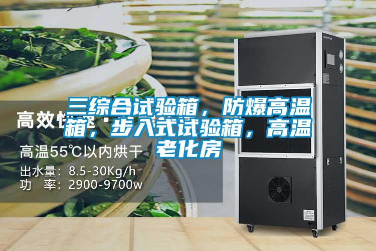 三綜合試驗箱，防爆高溫箱，步入式試驗箱，高溫老化房