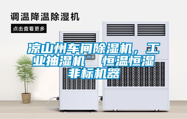 涼山州車間除濕機，工業抽濕機  恒溫恒濕非標機器