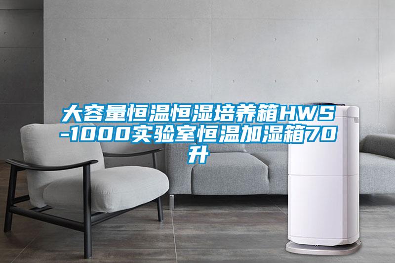 大容量恒溫恒濕培養(yǎng)箱HWS-1000實(shí)驗(yàn)室恒溫加濕箱70升