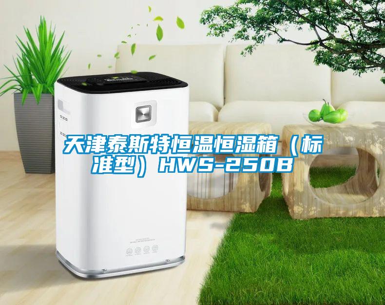 天津泰斯特恒溫恒濕箱（標準型）HWS-250B